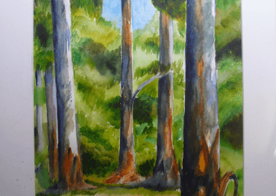 Gum Trees