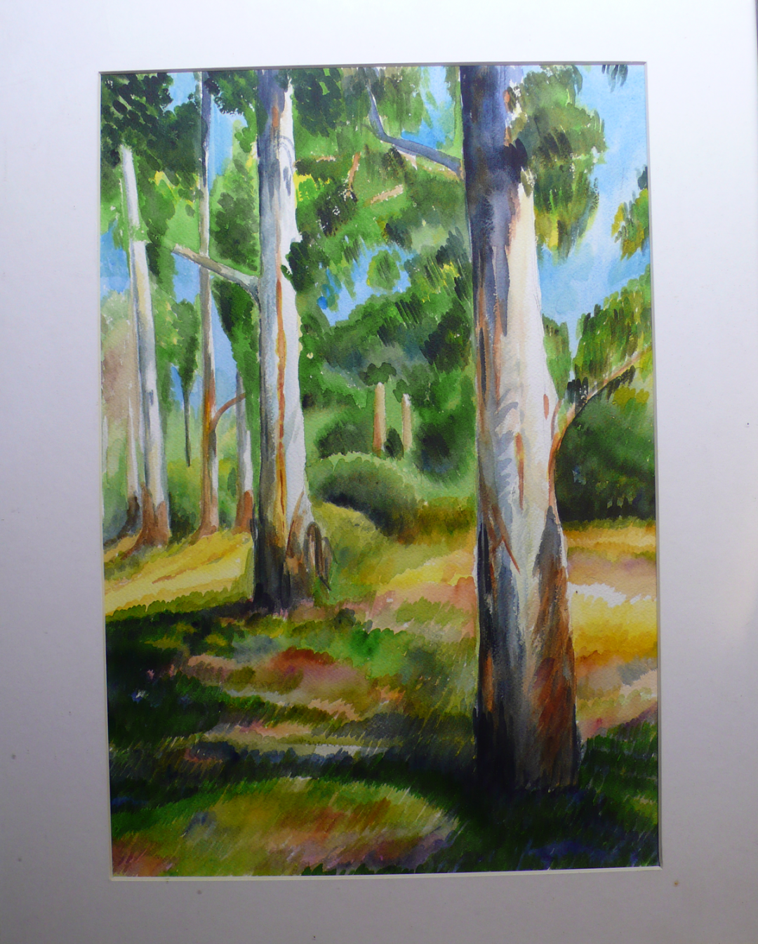 Gum Trees Again