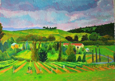 Yarra Valley Vinyard